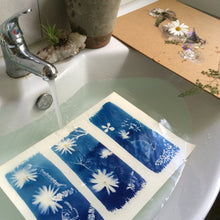 Load image into Gallery viewer, DIY "Deluxe" large letter/A4 size Cyanotype kit, rainbow print, blue bow, cyanotype paper, kit, DIY