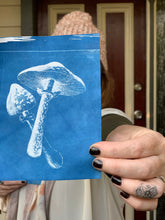 Load image into Gallery viewer, fungi & toadstool stencils