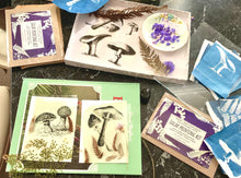 Load image into Gallery viewer, fungi & toadstool stencils