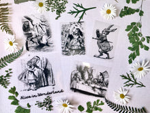 Load image into Gallery viewer, Alice in wonderland Cyanotype stencil