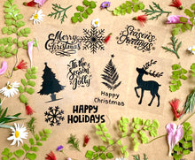 Load image into Gallery viewer, Christmas solar printing diy kit