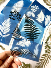 Load image into Gallery viewer, Fern stencils