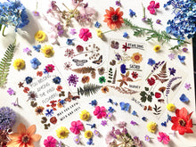 Load image into Gallery viewer, Flower printing kit