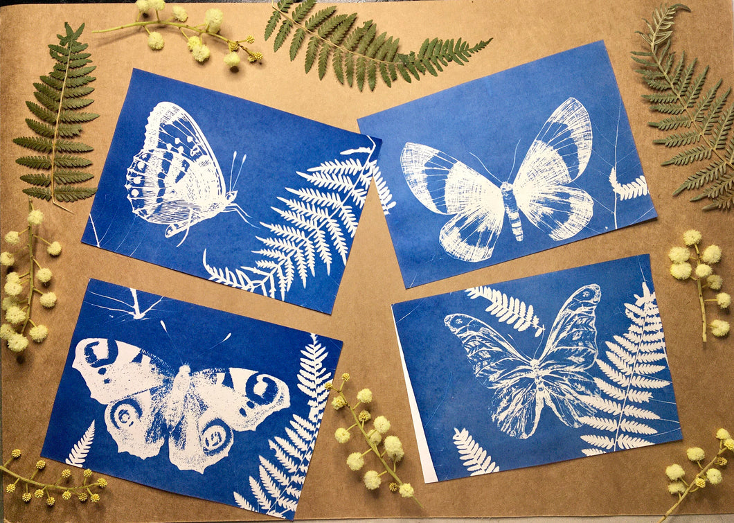 butterfly stencil solar printing kit