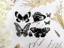 Load image into Gallery viewer, butterfly stencil solar printing kit
