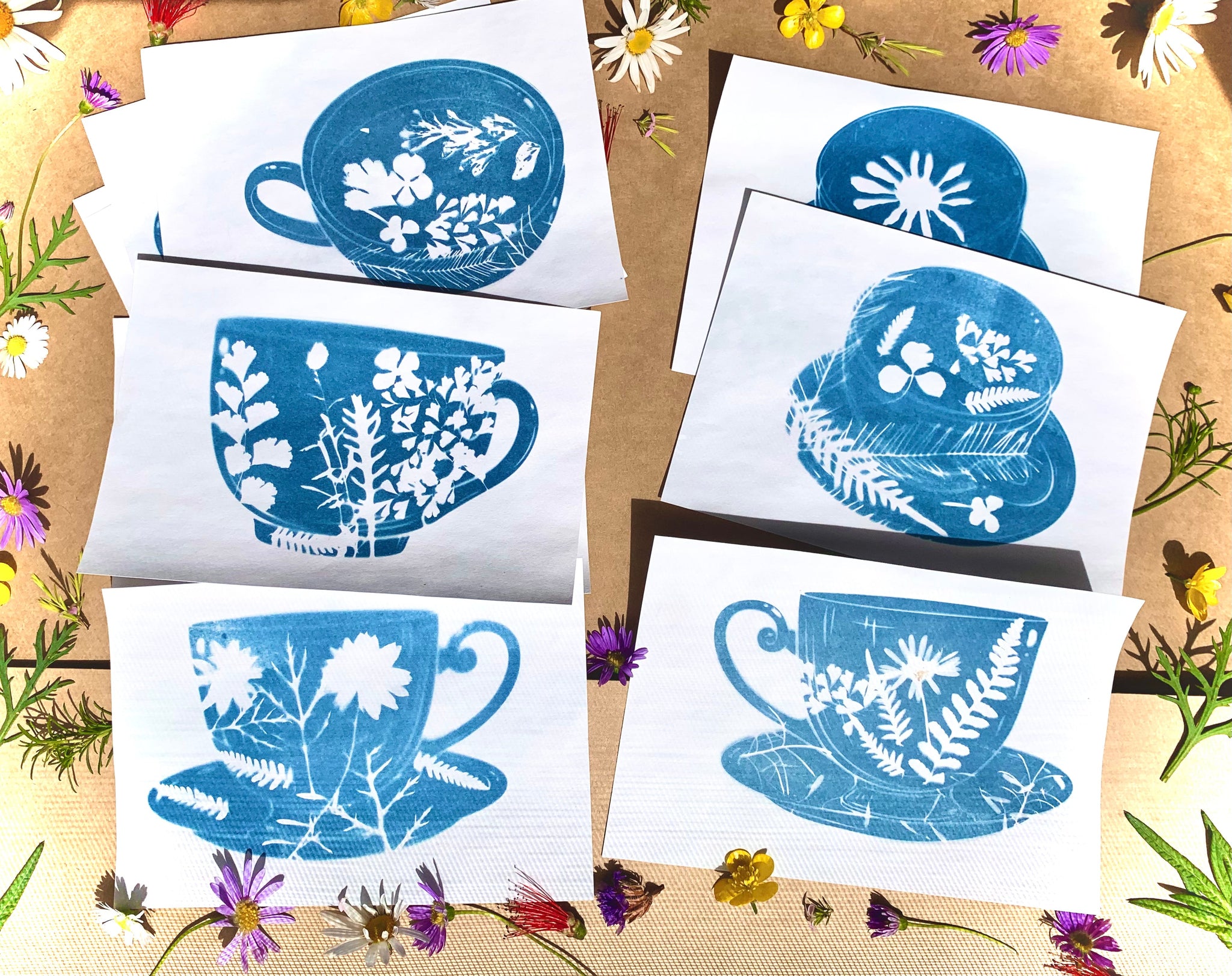 frakke Teenager Isolere Tea cup solar printing diy kit – elemental_leaf